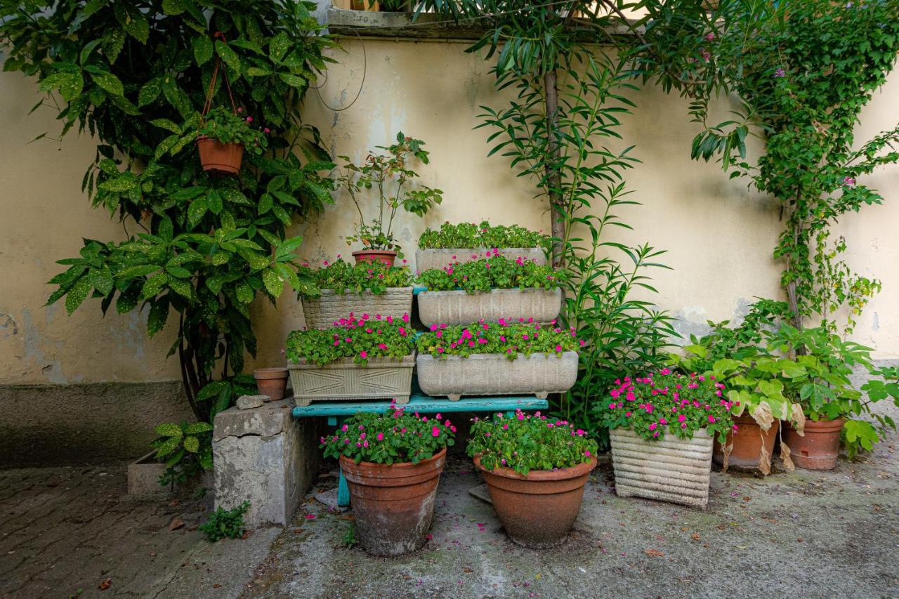 Apartment Secret Garden In The Heart Of Isola
